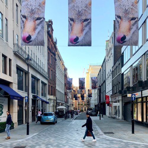 Cork Street public art