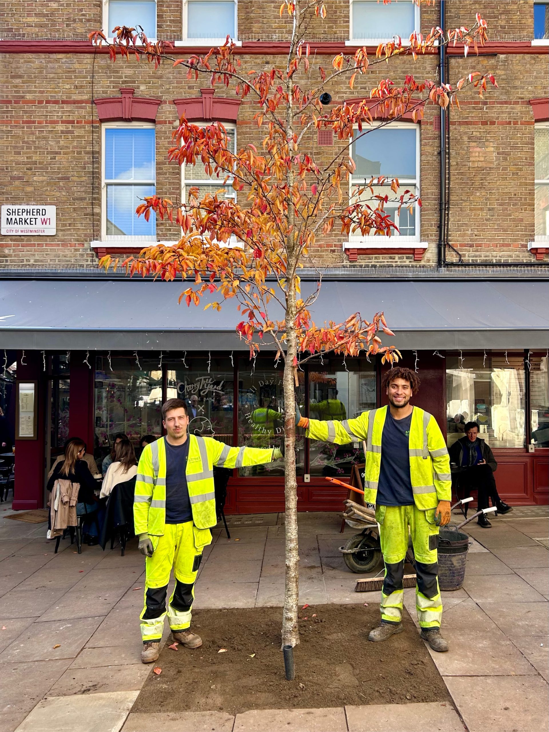 context-office-shepherd-market-mayfair-urban-greening-13